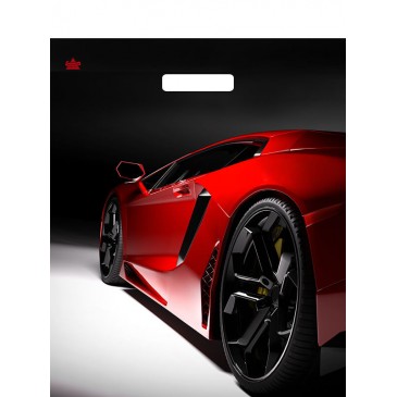 Мешок ПВД (выр.руч) 450*380 (60мкр) Автошик